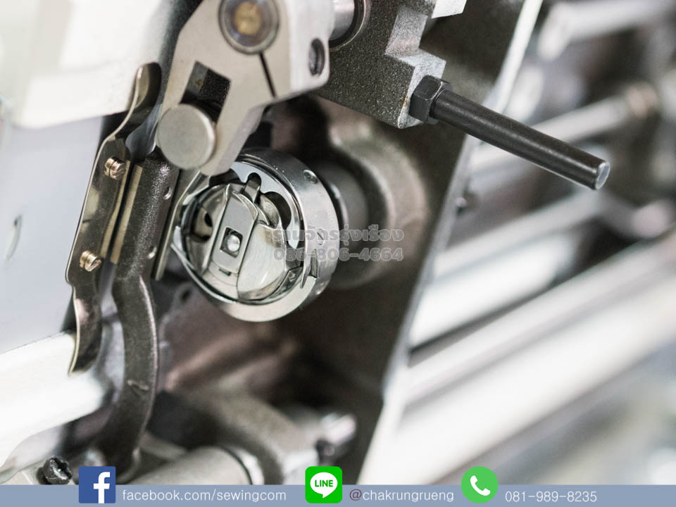 กะโหลกขนาดใหญ่